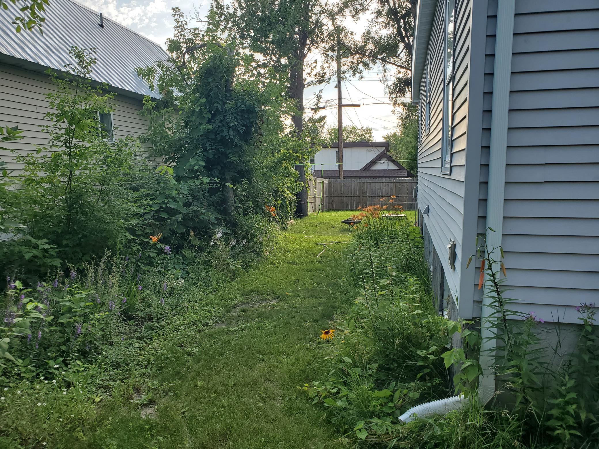 20260719_183534.jpg
