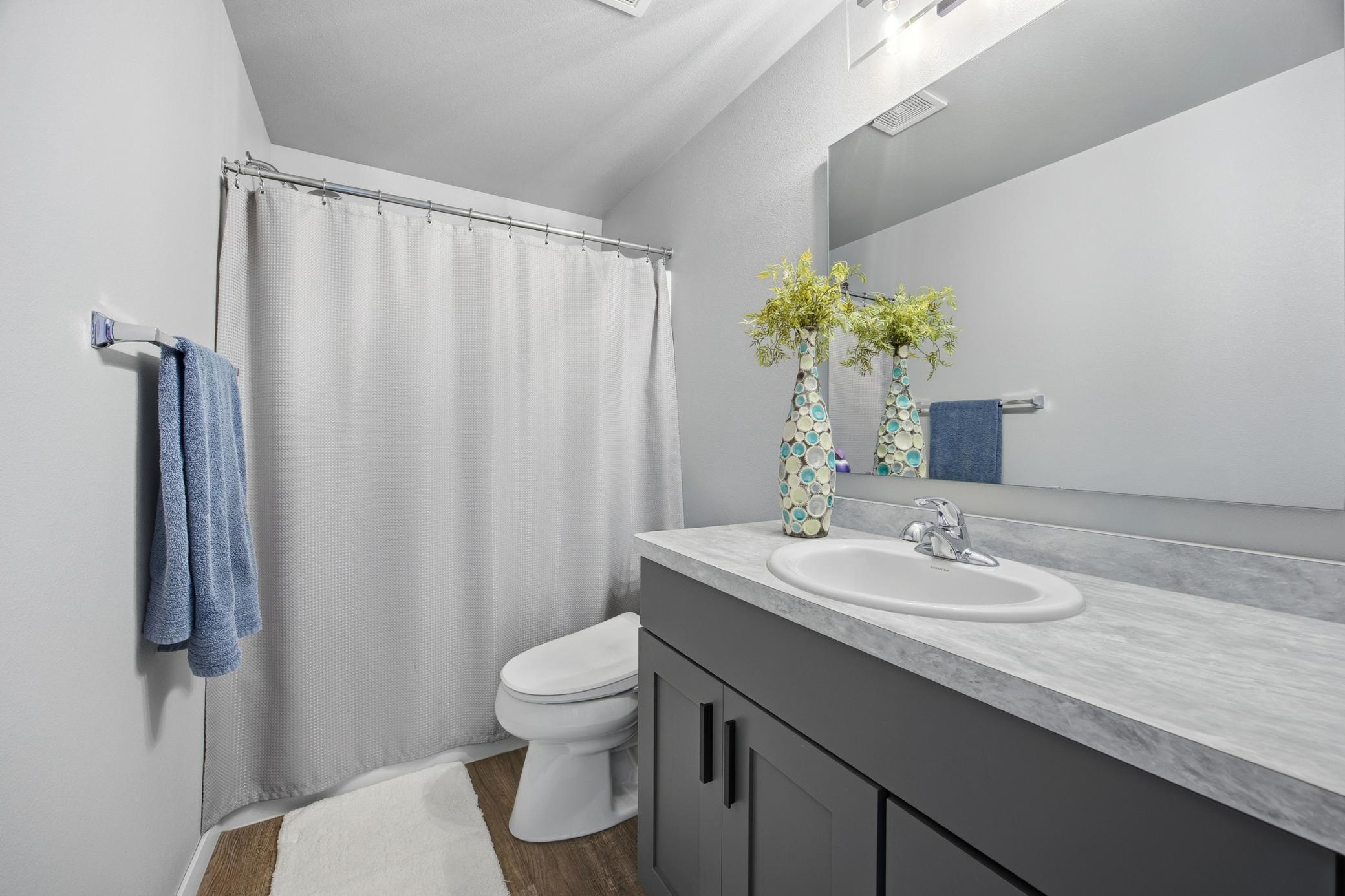 Lower Full Bath