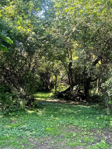 2328 550th Street, Granite Falls, MN 56241