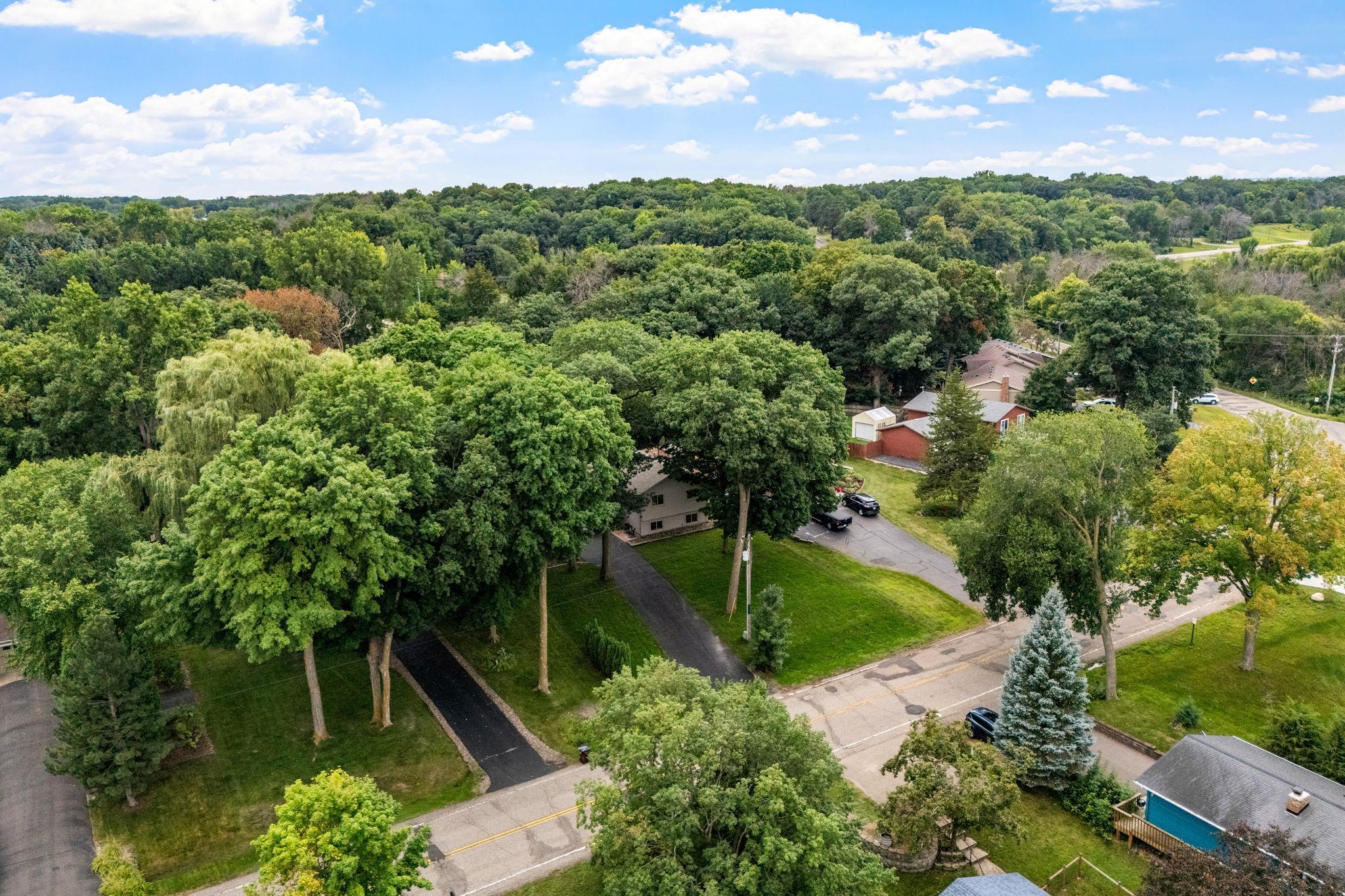 Mature trees surround your future home!