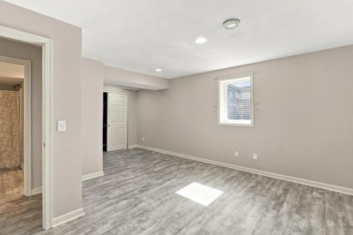 Large lower level bedroom with large closet