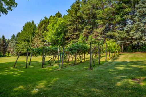 6223 Elm Ridge Circle, Hamel, MN 55340