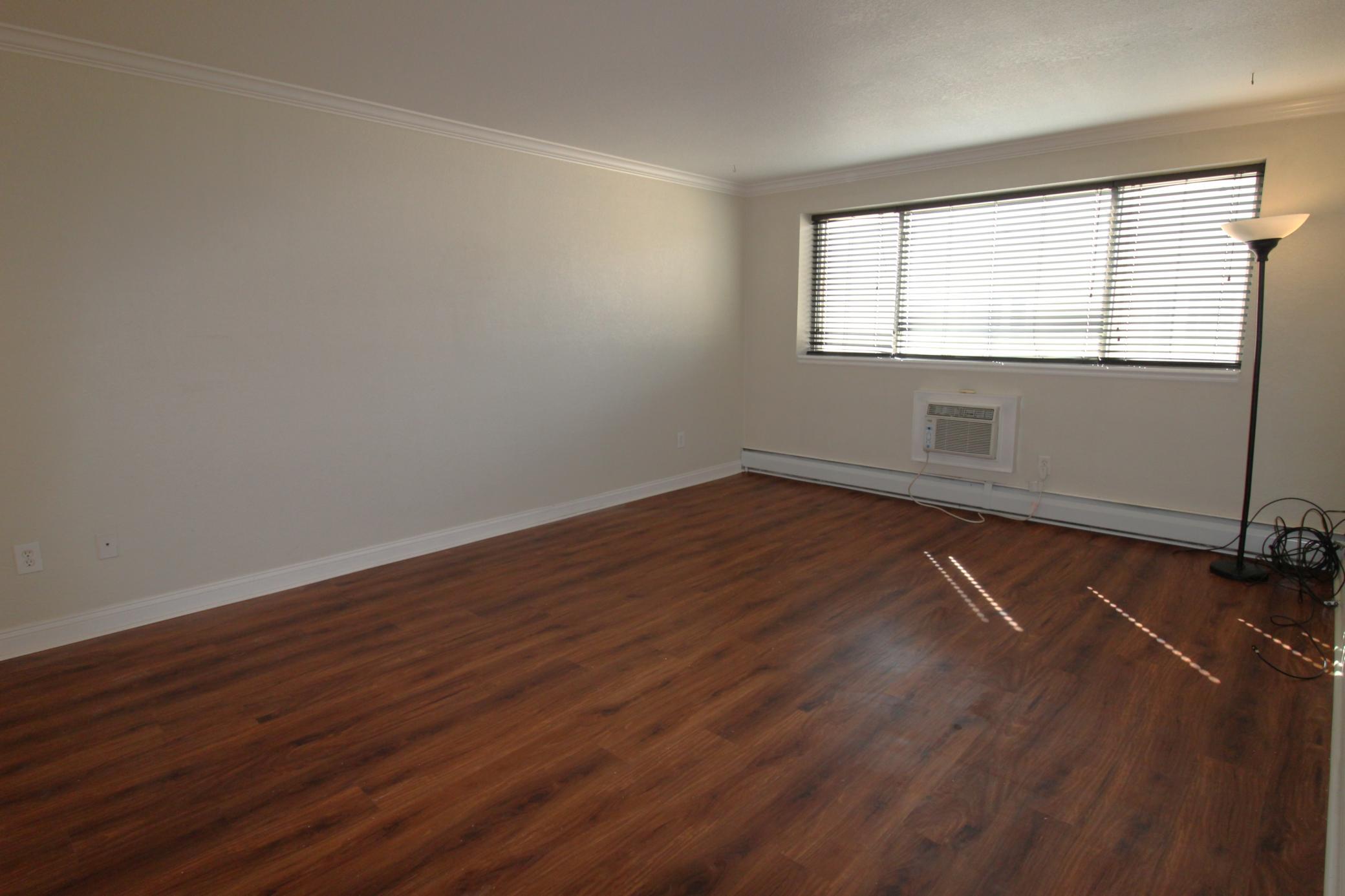 Living room with lots of natural light