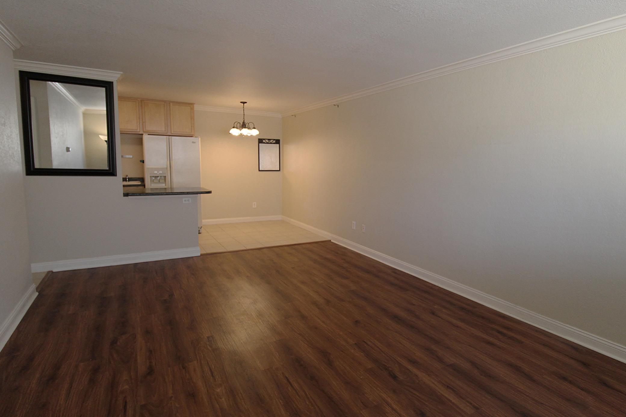 Living room and dining room