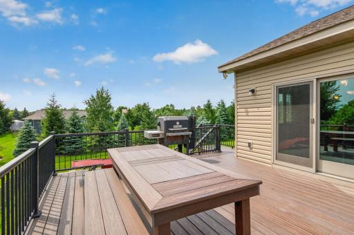 14731 Naples Street NE, Andover, MN 55304