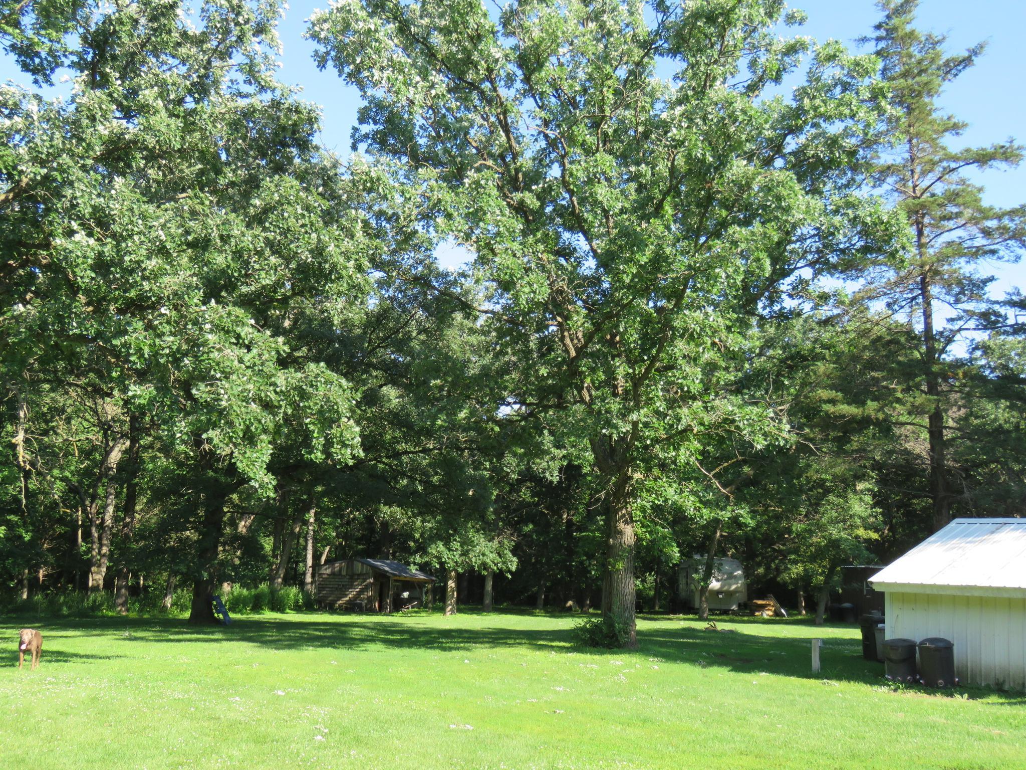 Lots of Room! 6.51 Acres!