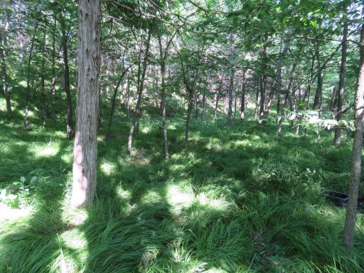 7738 County Road 17, Rice, MN 56367