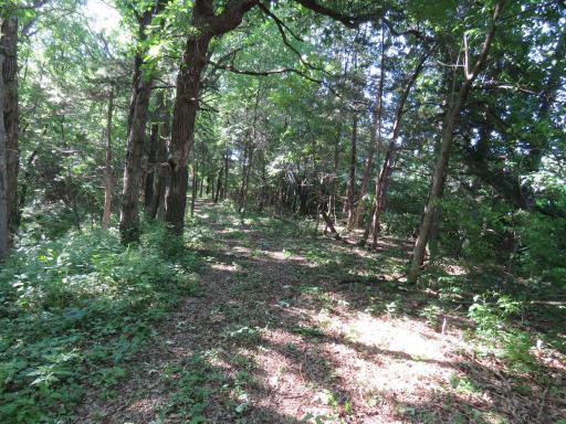 7738 County Road 17, Rice, MN 56367