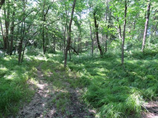 7738 County Road 17, Rice, MN 56367