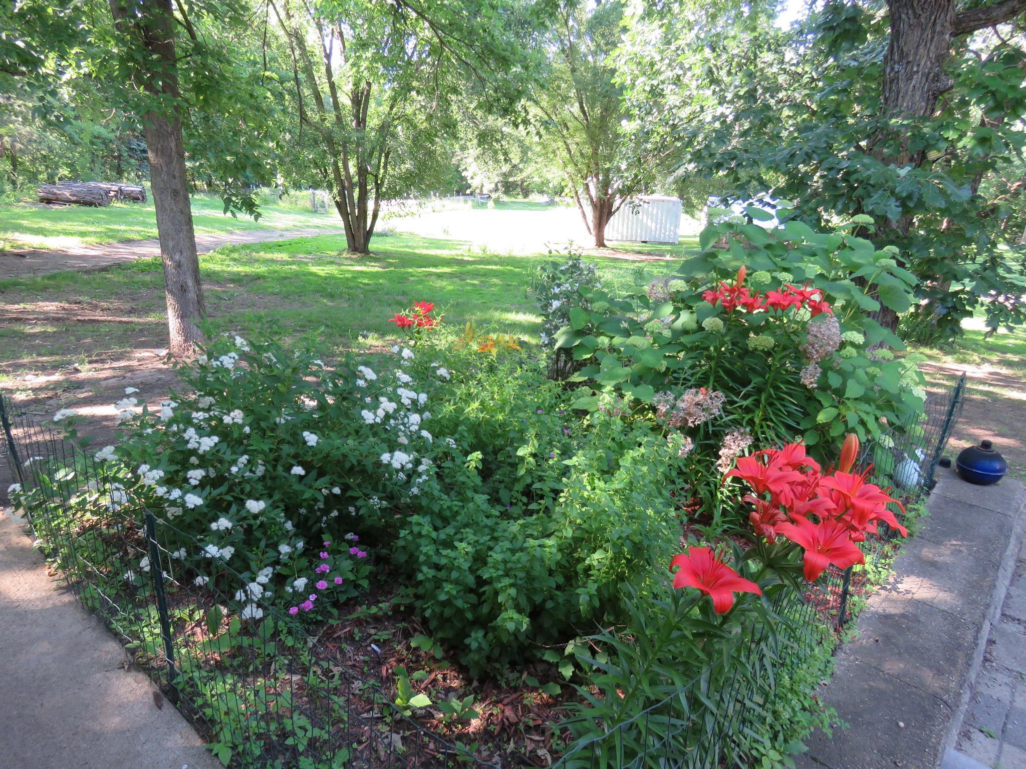 Beautiful Perennials!