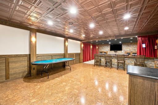 Theater/Family Room
