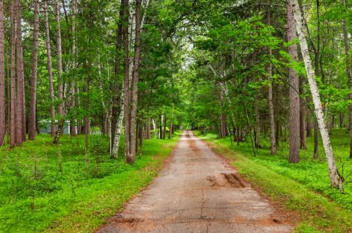 14870 E Fish Hook Drive, Park Rapids, MN 56470