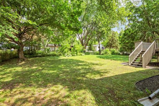 Fenced back yard