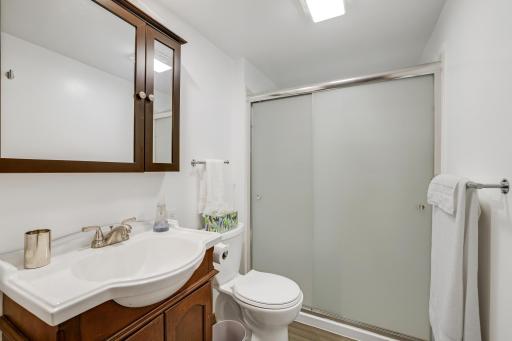 Lower level bath