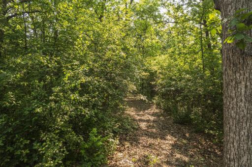 TBD Ridgeview Lane W, Detroit Lakes, MN 56501