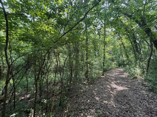 TBD Ridgeview Lane W, Detroit Lakes, MN 56501