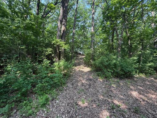 TBD Ridgeview Lane W, Detroit Lakes, MN 56501