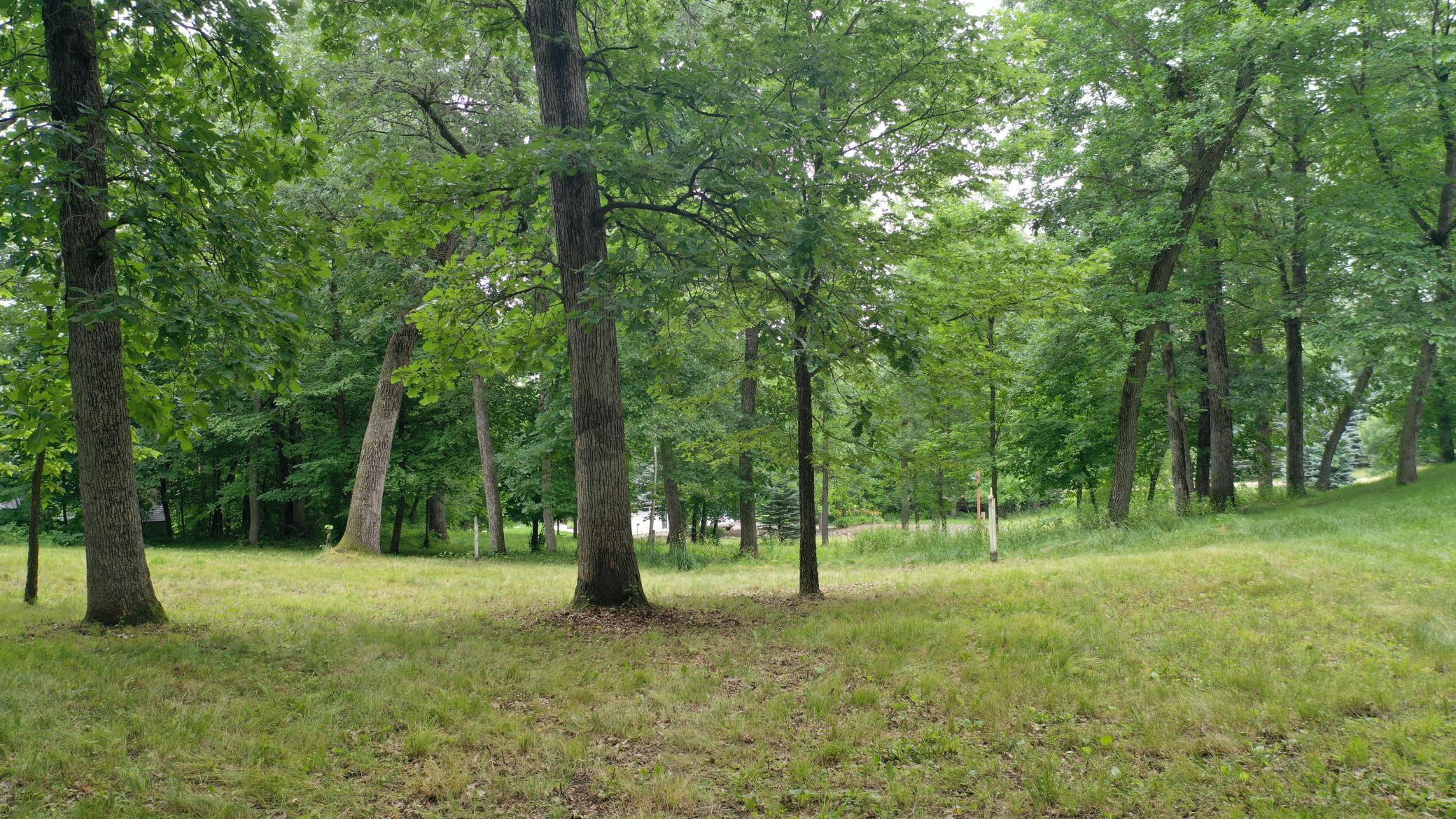 DJI_0303.JPG