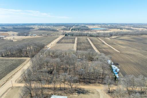 33964 137th Lane, Montgomery, MN 56069