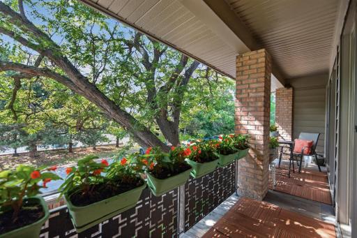 The 30' long balcony, beautifully shaded in summer