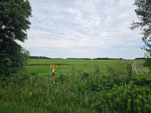 40 Acres County Road W, River Falls, WI 54022