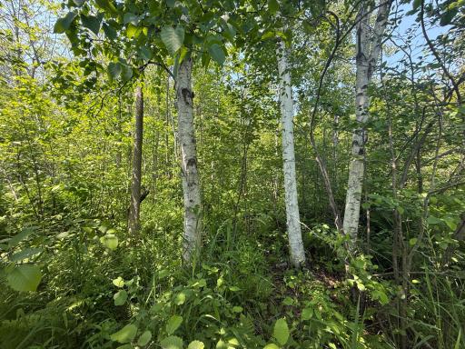 TBD Scenic Dr., Two Harbors, MN 55616