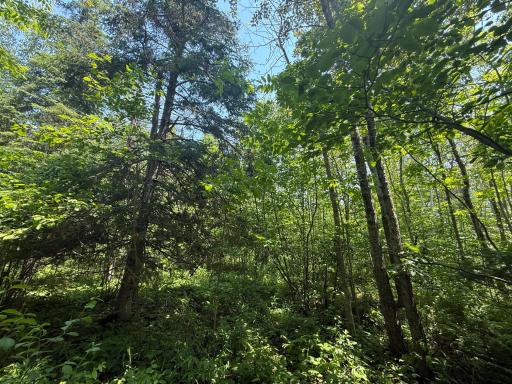 TBD Scenic Dr., Two Harbors, MN 55616