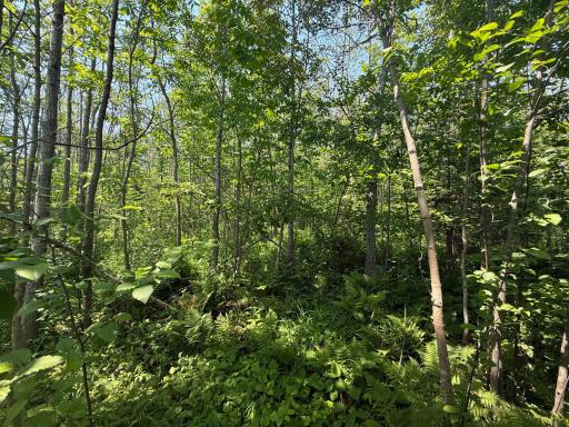 TBD Scenic Dr., Two Harbors, MN 55616
