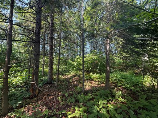 TBD Scenic Dr., Two Harbors, MN 55616