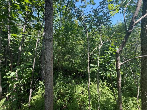 TBD Scenic Dr., Two Harbors, MN 55616