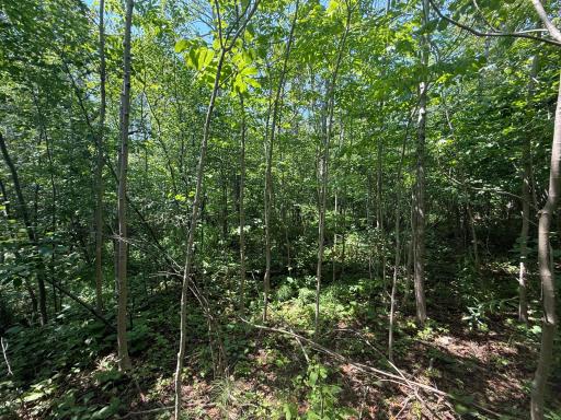 TBD Scenic Dr., Two Harbors, MN 55616