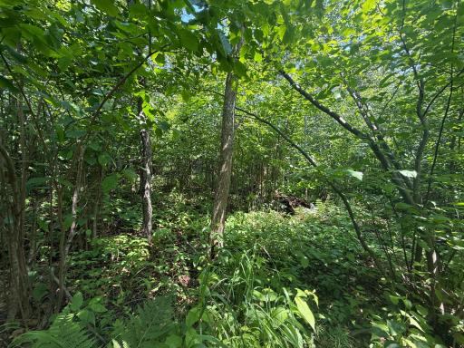 TBD Scenic Dr., Two Harbors, MN 55616