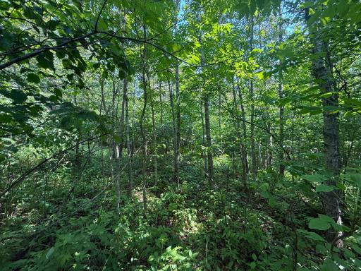 TBD Scenic Dr., Two Harbors, MN 55616