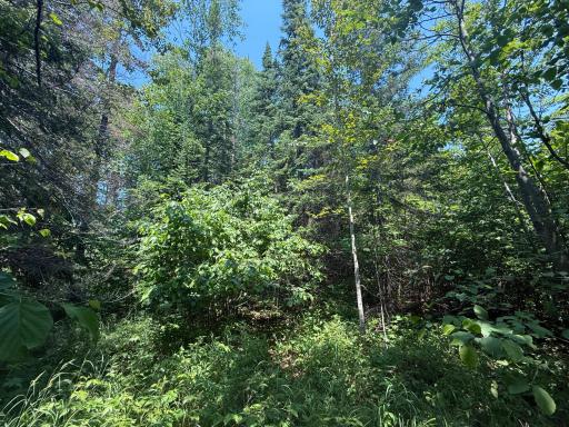 TBD Scenic Dr., Two Harbors, MN 55616