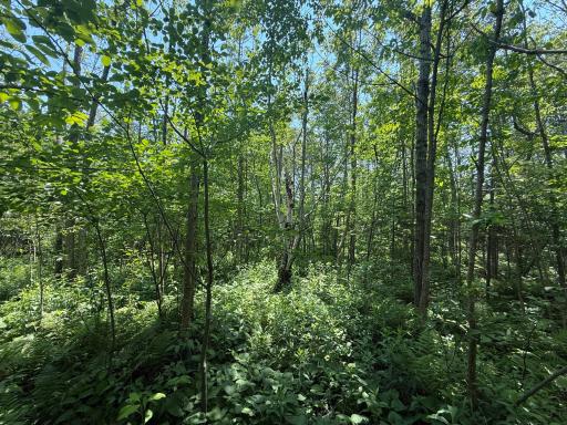 TBD Scenic Dr., Two Harbors, MN 55616