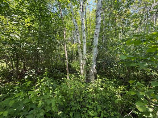 TBD Scenic Dr., Two Harbors, MN 55616