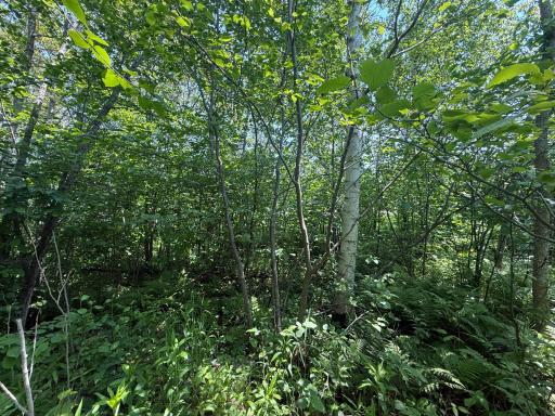 TBD Scenic Dr., Two Harbors, MN 55616