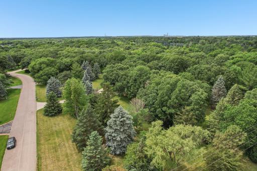 17488 173rd Street SE, Big Lake, MN 55309