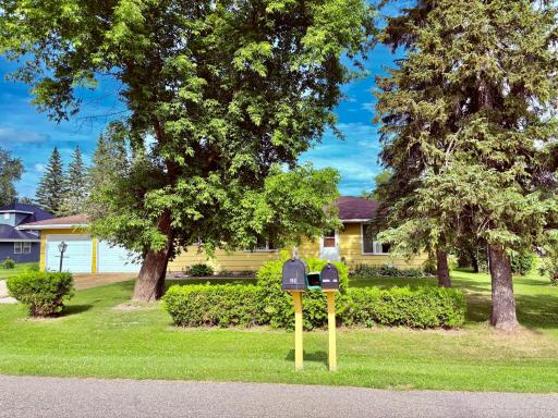 Lots of mature trees for privacy