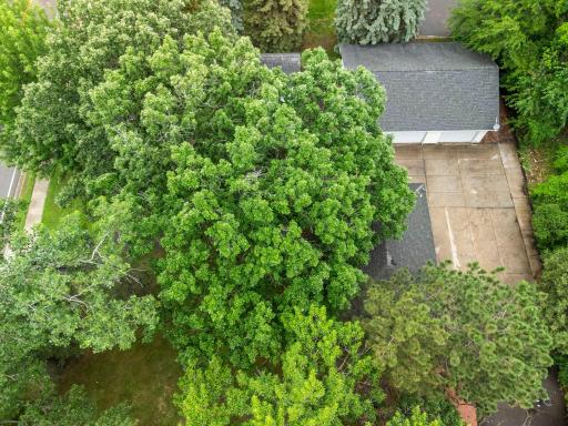 7701 Terrace Road NE, Spring Lake Park, MN 55432