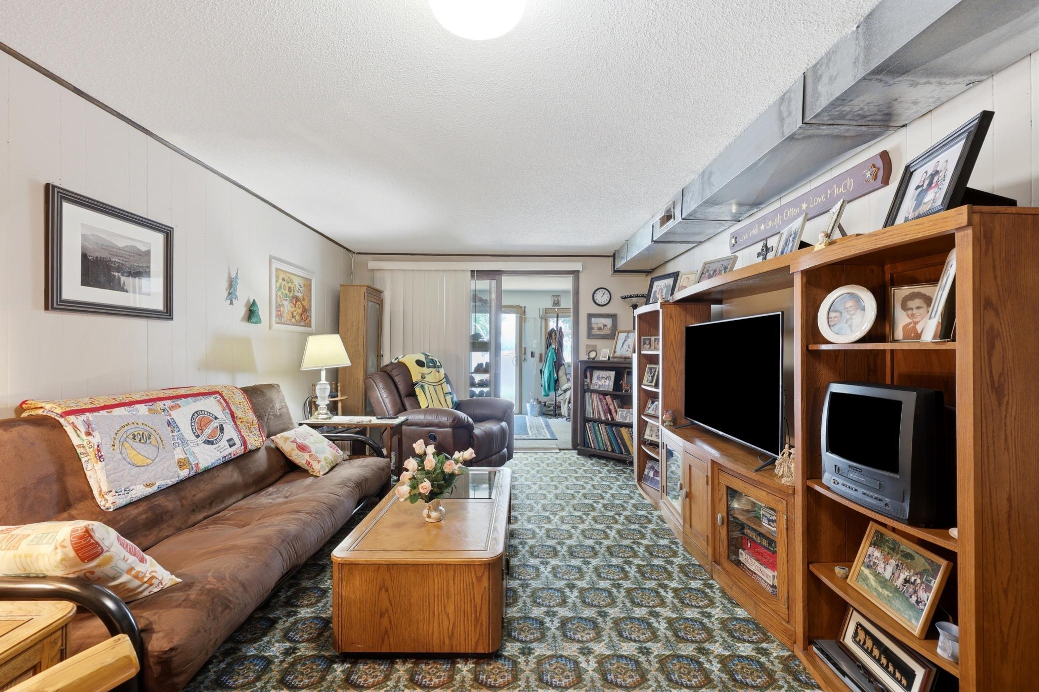 Lower Level Family Room