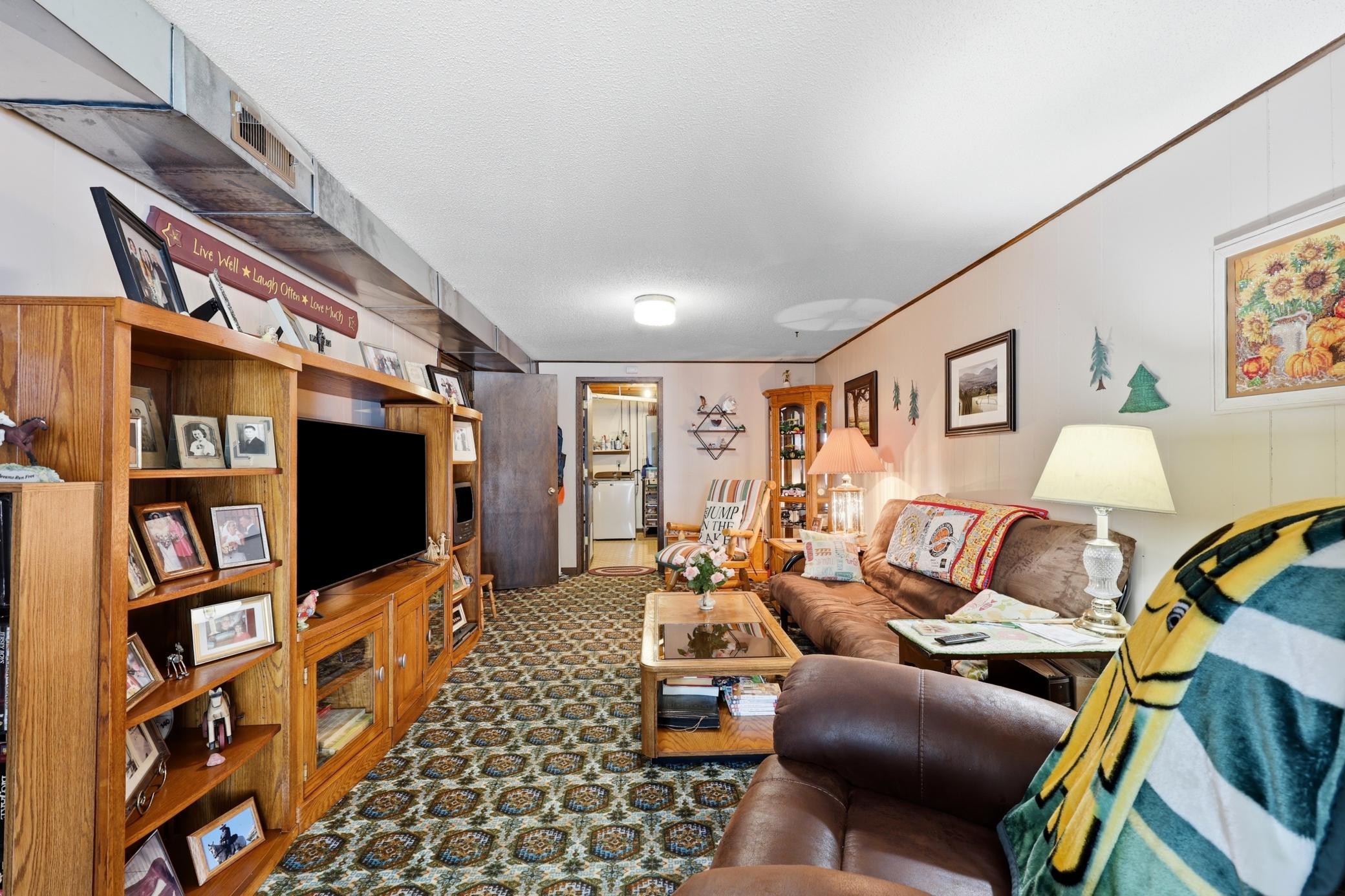Lower Level Family Room