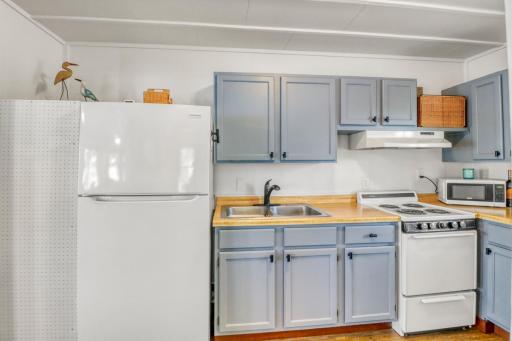 27096 Little Floyd Lake Road, 8, Detroit Lakes, MN 56501