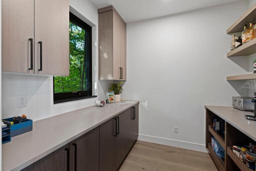Contemporary high-end kitchen with adjoining, walk-in custom pantry.