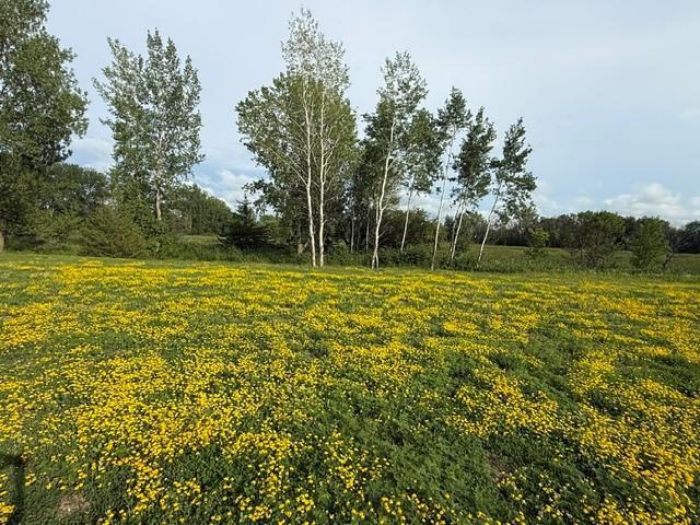 Property photo for 26361 Preserve Drive, Elko New Market, MN 55054
