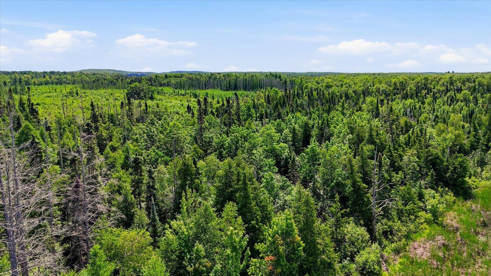 16-DJI_20260722114757_0309_D.jpg