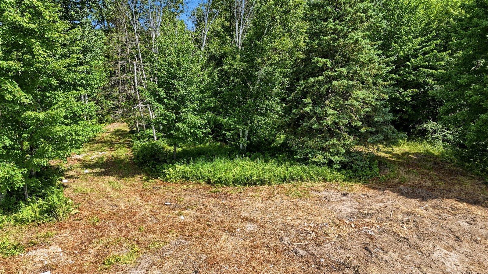10-DJI_20260722114421_0279_D.jpg