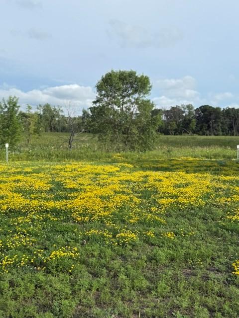 Property photo for 26381 Preserve Drive, Elko New Market, MN 55054