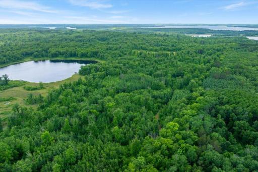 Hackensack, MN 56452