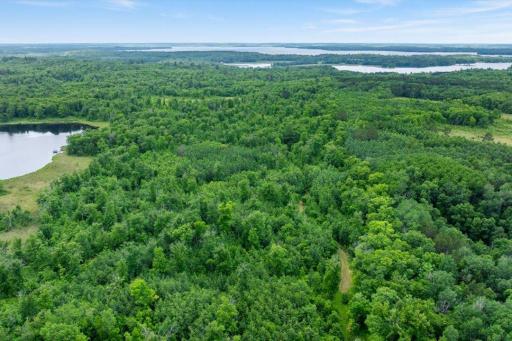 Hackensack, MN 56452